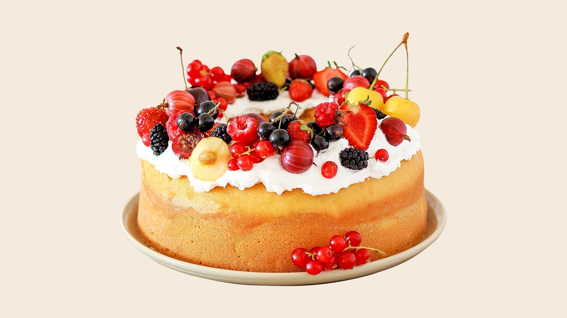 torte laurea gallery (4)