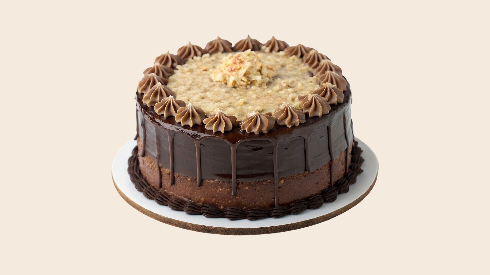 torte laurea gallery (6)